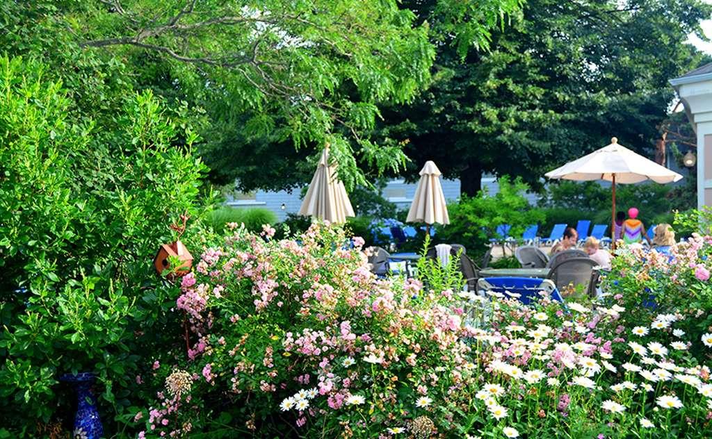 Margaritaville Resort Cape Cod Hyannis Bekvämligheter bild